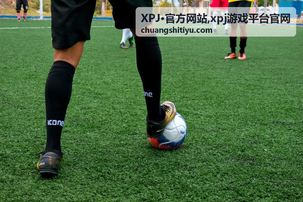 XPJ·官方网站xpj游戏平台官网官方信息封面