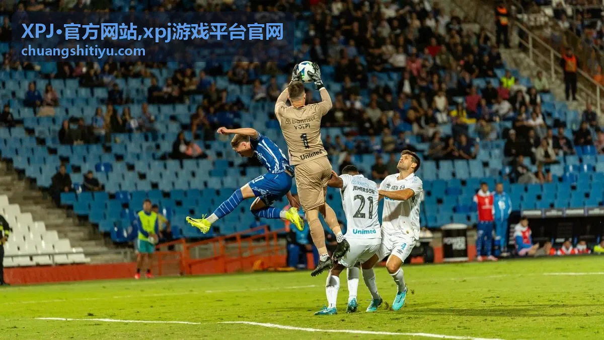 XPJ·官方网站常见问题说明